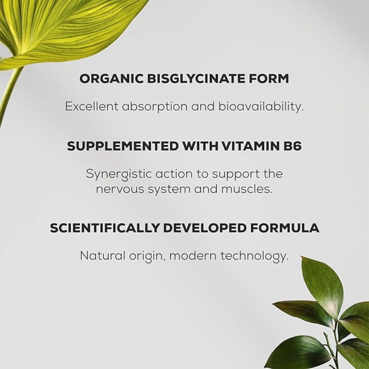 Magnesium Bisglycinate [90 Capsules]