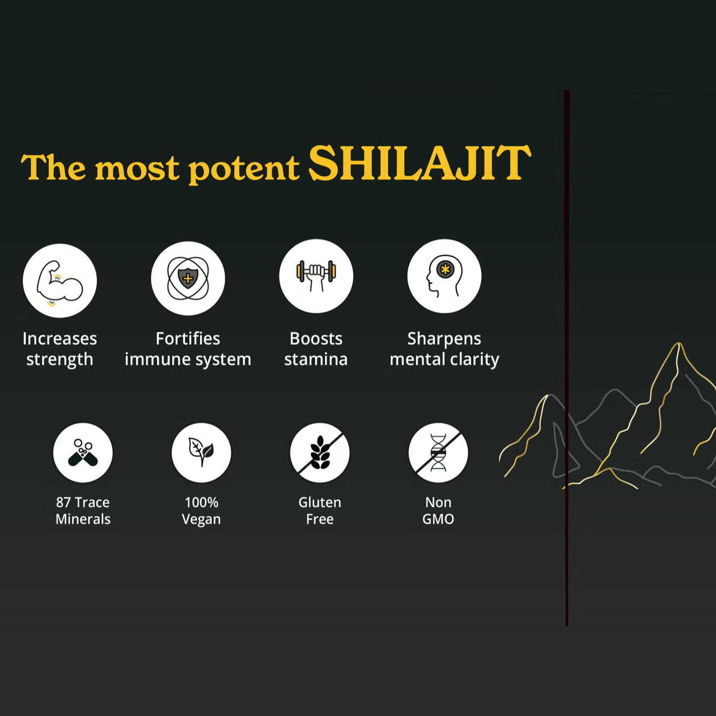 Himalayan Shilajit 1.06oz