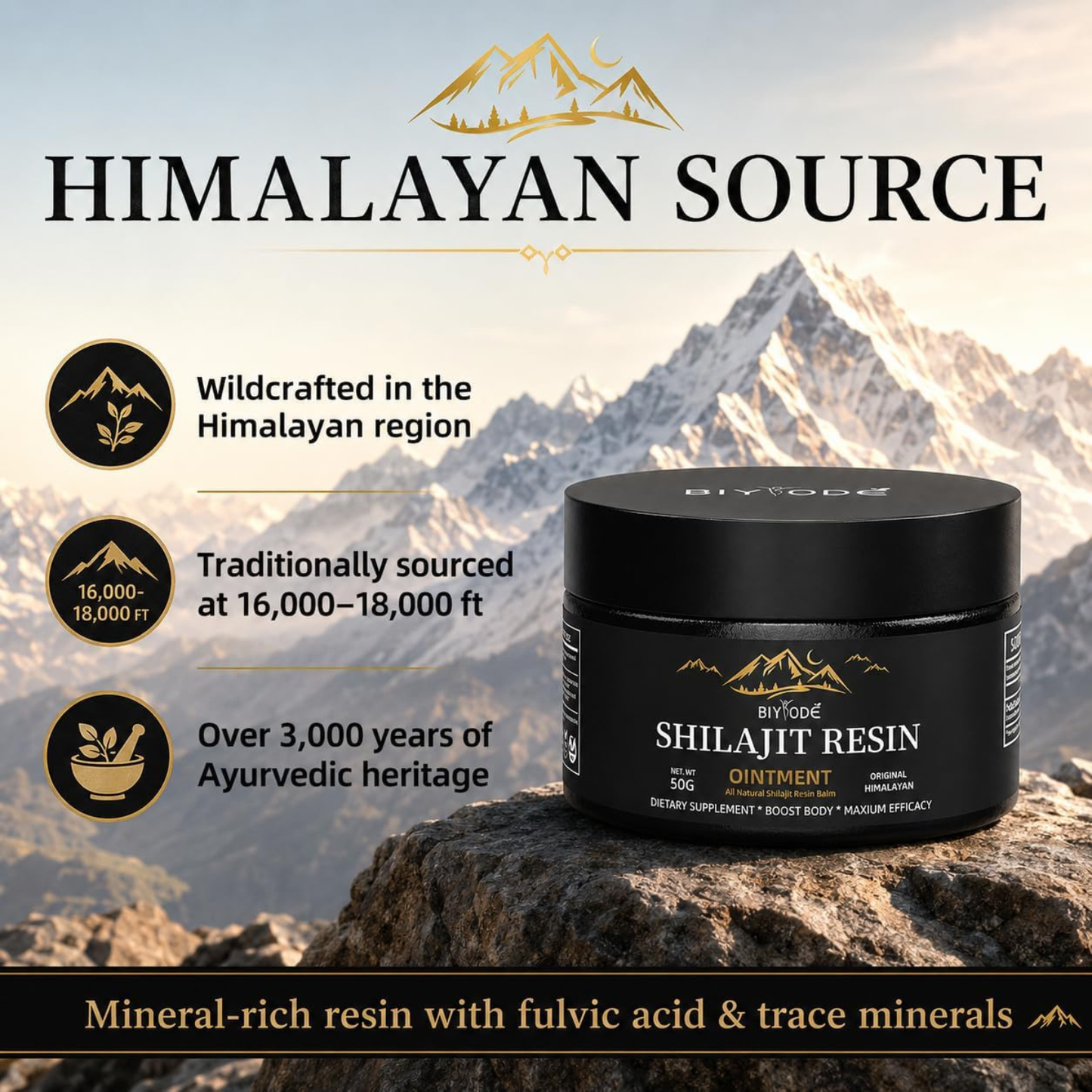 Shilajit Resin 50g