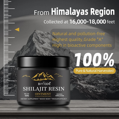 Shilajit Resin 50g