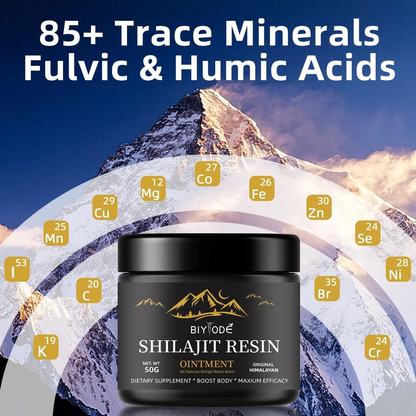 Shilajit Resin 50g