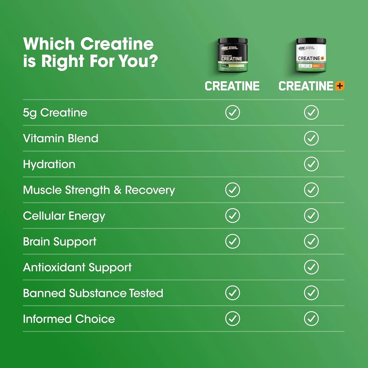 Micronized Creatine Powder 300g