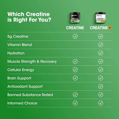 Micronized Creatine Powder 300g